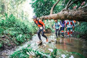 BIB: 
                            <button type="button" onclick="openModal(25515219)" class="btn btn-primary btn-sm float-right btn-popup" data-toggle="modal" data-target=".modal-high-quality">
                        <i class="fas fa-shopping-cart"></i> Add to Cart
                    </button>
                                            <button type="button" onclick="isThisMe(25515219, true)" class="btn btn-success btn-sm float-right btn-popup btn-isme hidden" data-toggle="tooltip" data-placement="bottom" title="นี่คือรูปของคุณใช่ไหม คลิกที่นี่เพื่อเอาเข้าอัลบั้ม">
                        <i class="fas fa-plus"></i> Add to album
                    </button>
                    <button type="button" onclick="isThisMe(25515219, false)" class="btn btn-warning btn-sm float-right btn-popup btn-isnotme hidden">
                        <i class="fas fa-ban"></i> Remove from album
                    </button>